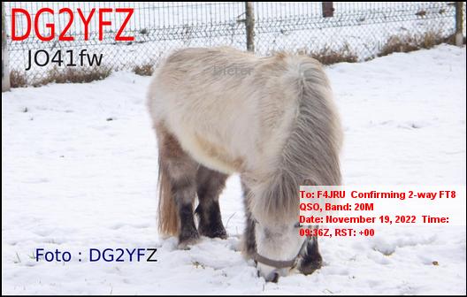 F4JRU_DG2YFZ_20M_FT8_20221119_0936